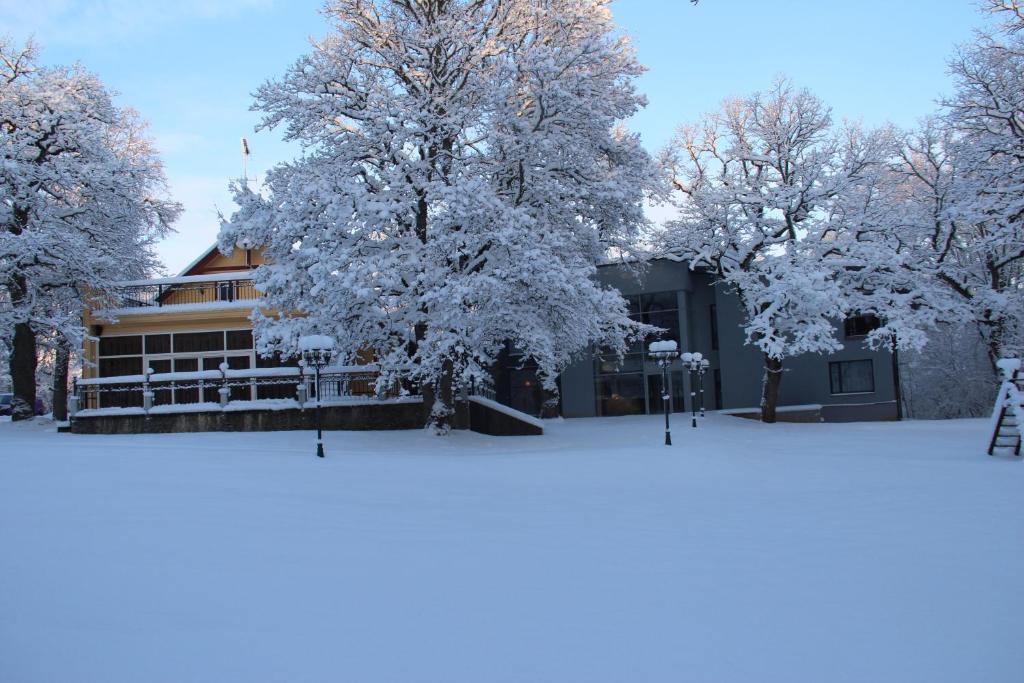 Villa Hotel Theresa Rakvere Esterno foto